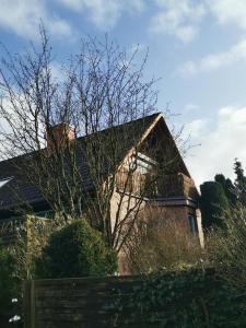 Ferienwohnung Mühlberg