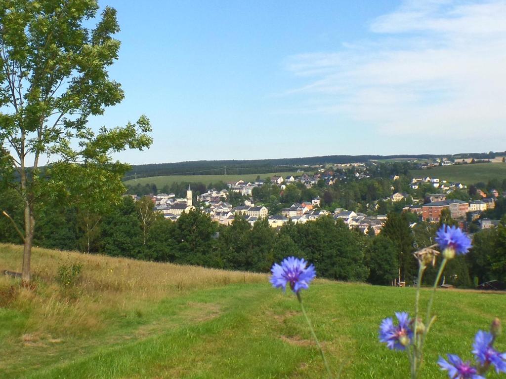 Ferienwohnung Musikwinkel 3 Wernitzgrüner Strasse, 08258 Markneukirchen