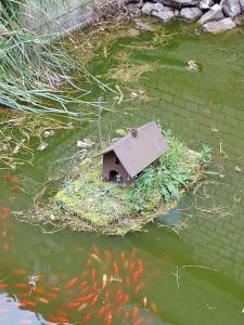 Ferienwohnung Natur Pur II