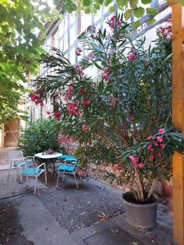 Ferienwohnung Natur Pur