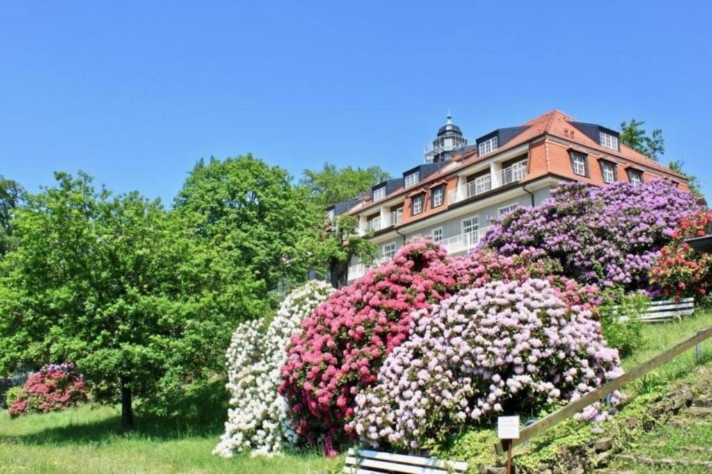 Ferienwohnung Natur und Kunst, 5-Sterne Franziska-Tiburtius-Straße, 01326 Dresde