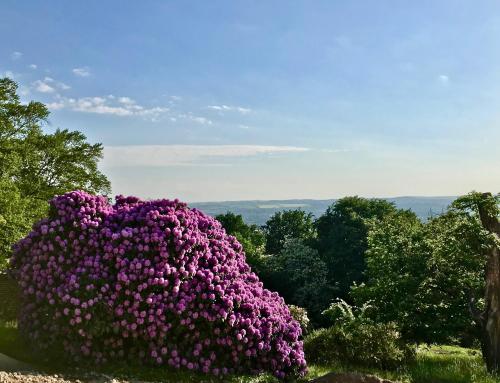 Ferienwohnung Natur und Kunst