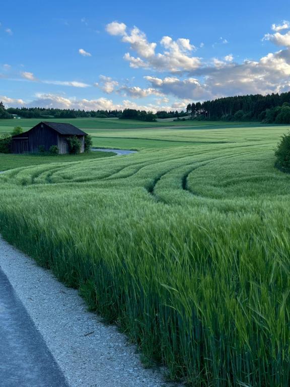 Ferienwohnung Naturpark Schwarzwald 20 Am Nußberg, 79843 Löffingen