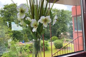 Ferienwohnung NAVA auf der Kauzenburg