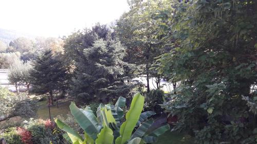 Ferienwohnung Neckarblick