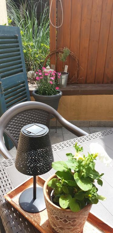 Appartement Ferienwohnung Niklas 49 Hohlweg 66333 Völklingen