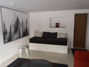 Appartement Ferienwohnung Nomeda Kirchstrasse 13 59955 Winterberg Rhénanie du Nord - Westphalie