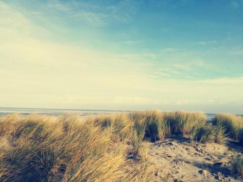 Ferienwohnung Nordsee-Feeling