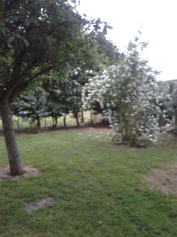 Ferienwohnung Oblfing