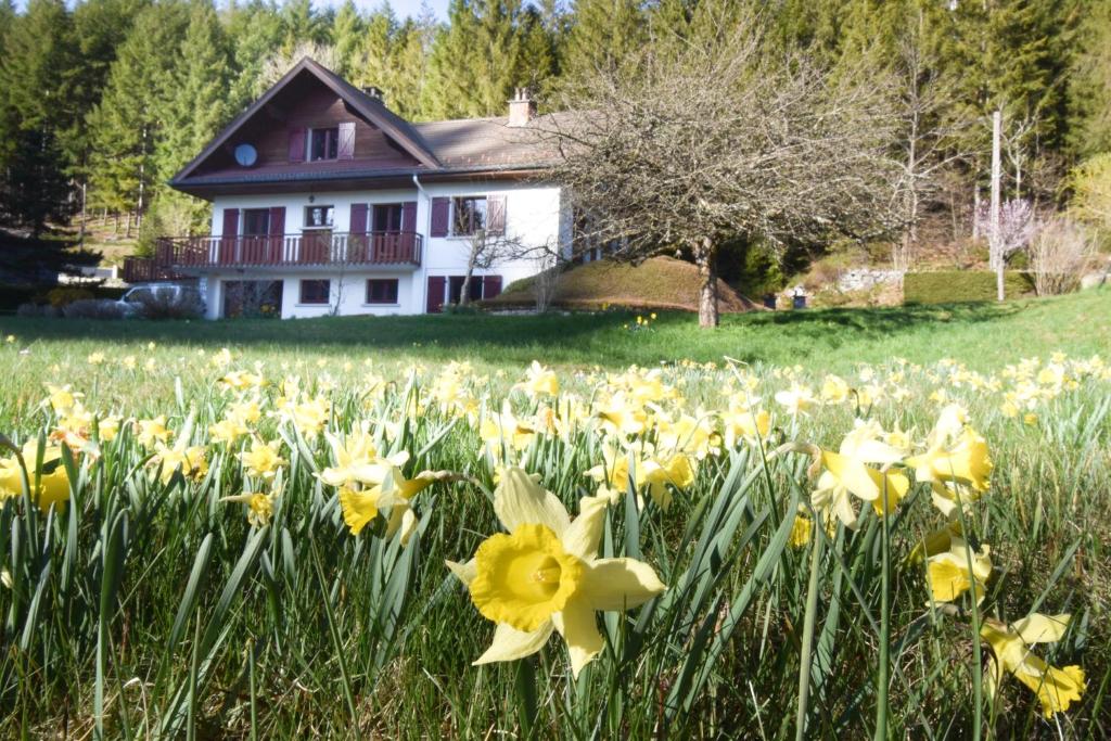 Ferienwohnung Ostsee-Hecht mit Balkon im Kaiserhof 2