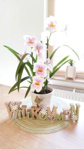 Ferienwohnung Pagel