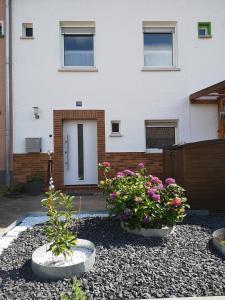 Ferienwohnung Palatina Annweiler