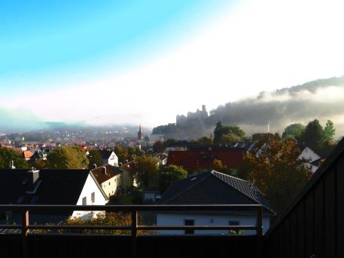 Ferienwohnung Panorama