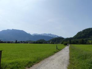 Ferienwohnung Panoramablick