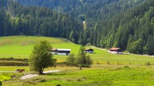 Ferienwohnung Petra, Rothhaupt Petra