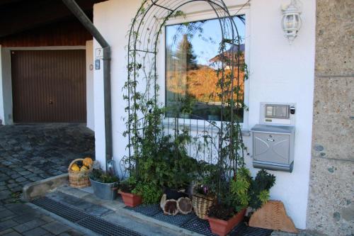 Ferienwohnung Pickl - Anna-Maria Pickl