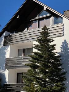 Appartement Ferienwohnung Rad-Ski Fichtenweg 37 59955 Winterberg Rhénanie du Nord - Westphalie