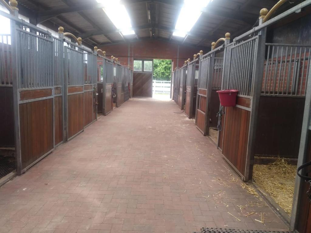 Ferienwohnung Ranchhouse - Hunde und Pferde willkommen Neue Vergrößerungen, 26607 Aurich