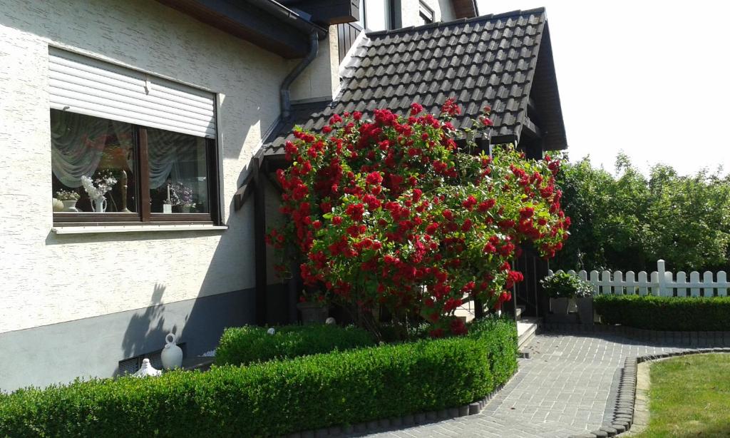Ferienwohnung Raupe Am Falter20, 34560 Fritzlar