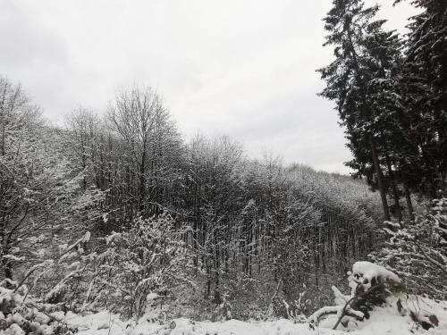 Ferienwohnung Rauszeit Lennestadt Sauerland