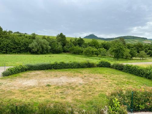Ferienwohnung Reblandblick
