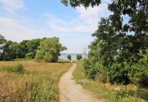 Ferienwohnung Rechlin SEE 9791
