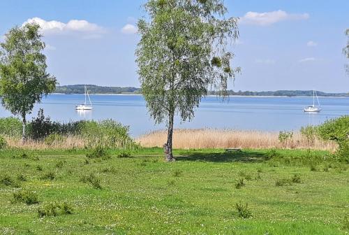 Ferienwohnung Rechlin SEE 9841