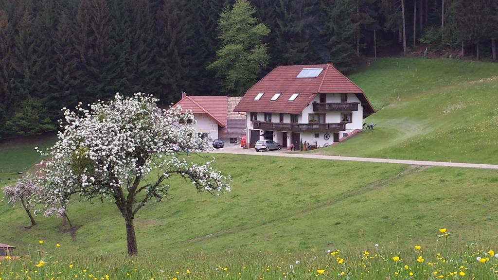 Ferienwohnung Ringwald Hölzberg 13, 79215 Biederbach Baden-Württemberg