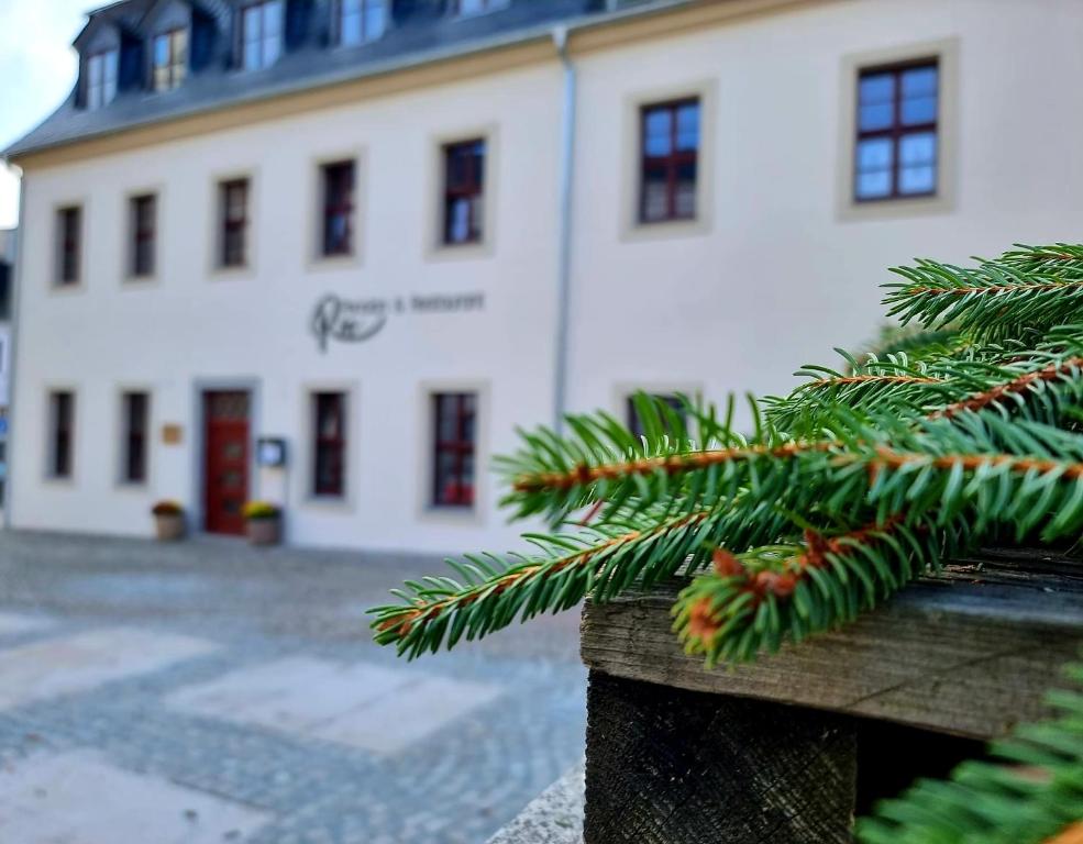 Ferienwohnung Rio 29 Markt, 08289 Schneeberg