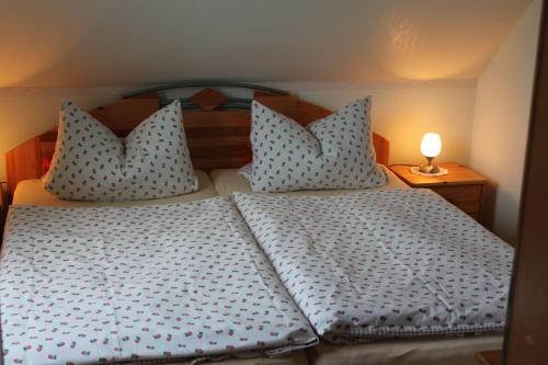 Ferienwohnung-Roock