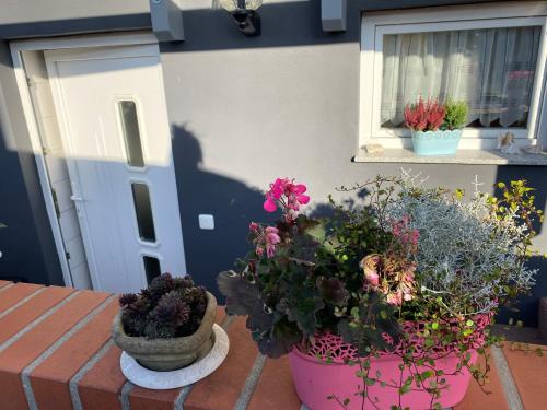 Ferienwohnung Rosenweg