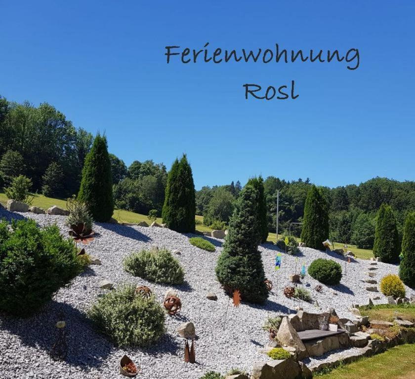 Appartement Ferienwohnung Rosl Lämmersreut 41 94065 Waldkirchen