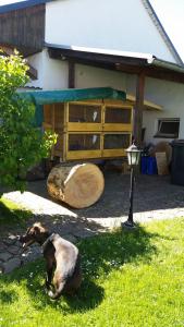 Ferienwohnung Rucksack-Bimbes