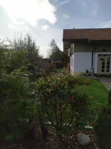Ferienwohnung Ruhdichaus
