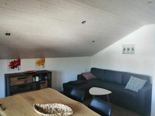 Appartement Ferienwohnung Saaleblick 8 Selkenreuther Straße 95126 Schwarzenbach an der Saale Bavière