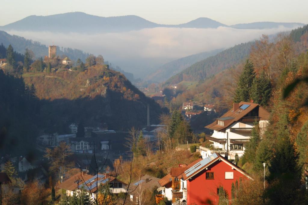 Ferienwohnung Sabine 83 Am Rubersbach, 78132 Hornberg