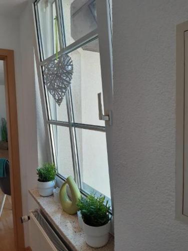 Ferienwohnung Salzmannhaus