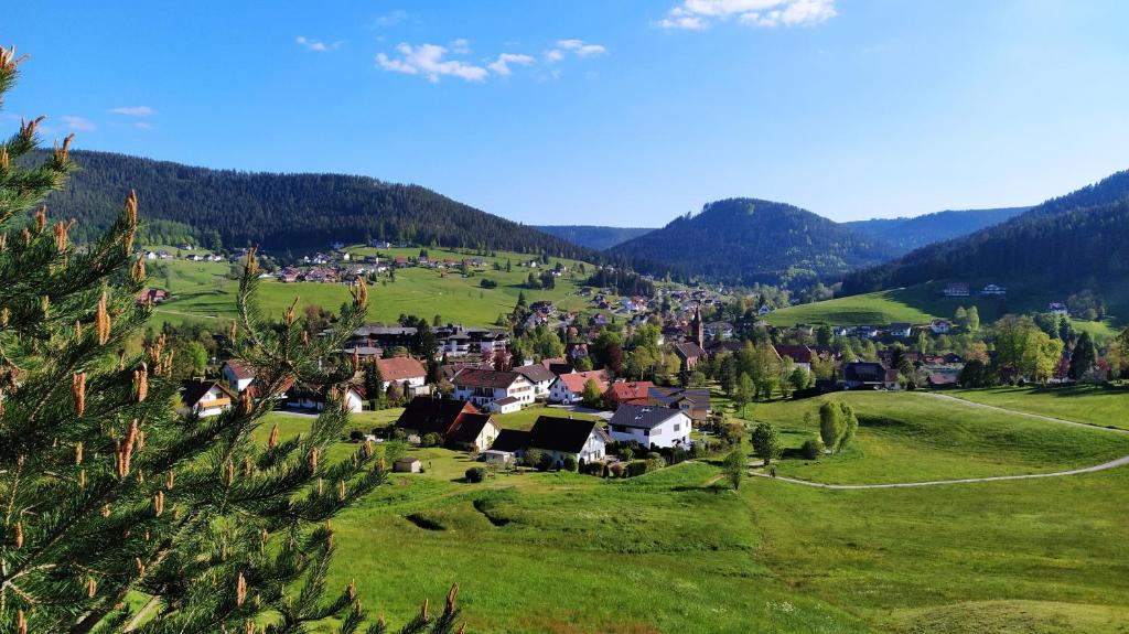 Appartement Ferienwohnung, Sauna & Gästekarte gratis im Schwarzwald Ellbachweg 4, Erdgeschoss 72270 Baiersbronn