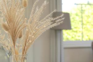 Appartement Ferienwohnung Schleistübchen 6 Langacker 24857 Fahrdorf Schleswig-Holstein