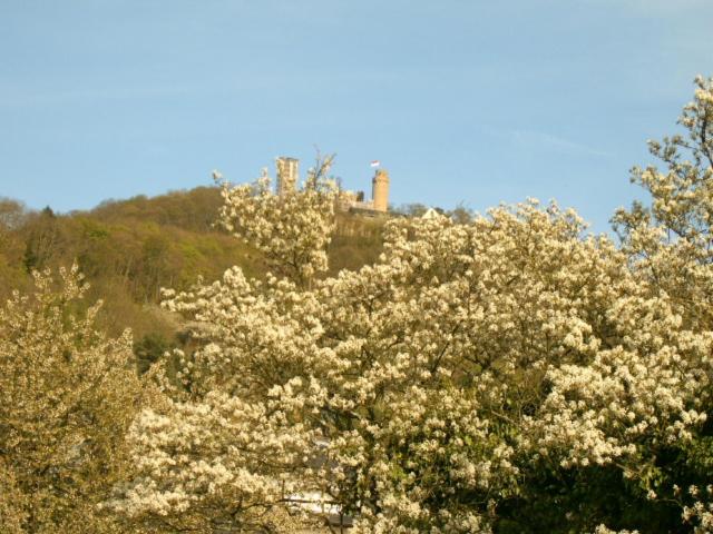 Ferienwohnung Schlossblick Ernst-Ludwig-Promenade 7, 64625 Bensheim