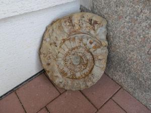 Appartement Ferienwohnung Schneckenhaus 2 Firstbergweg 72131 Ofterdingen Bade-Wurtemberg