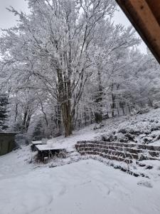 Ferienwohnung Schneeberg