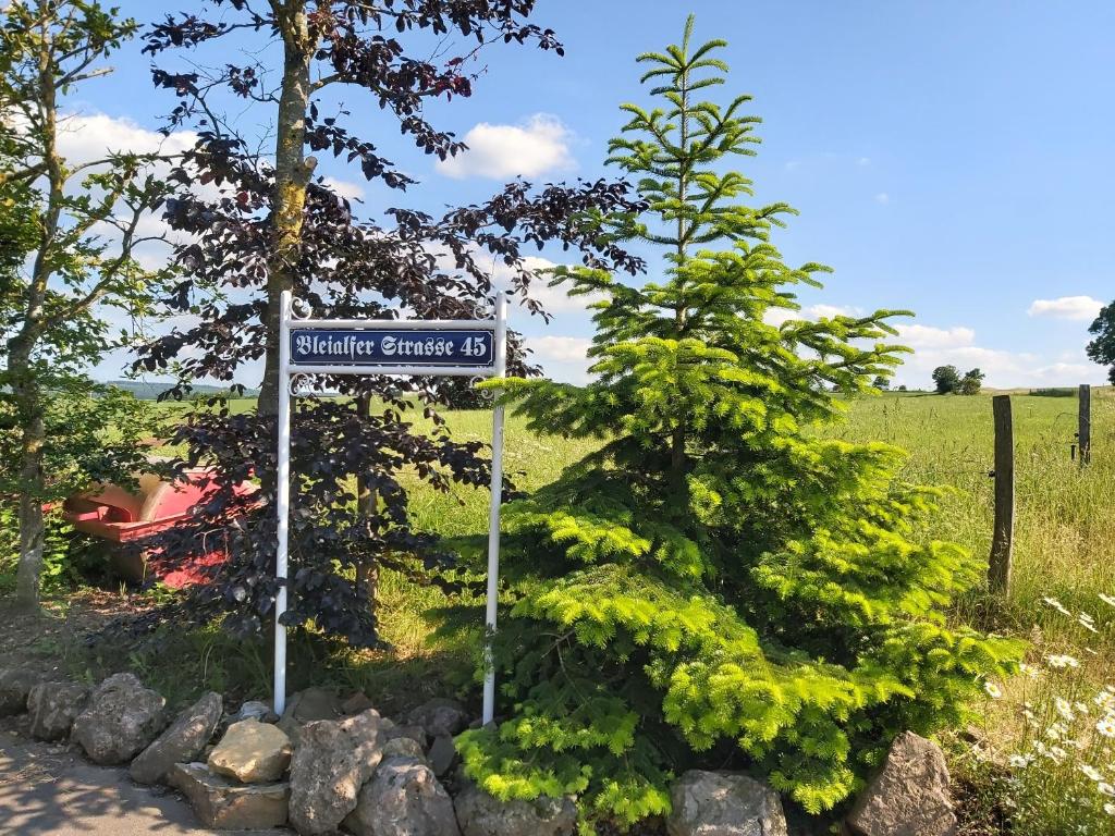 Ferienwohnung Schneifelsicht 45 Bleialfer Straße, 54597 Auw