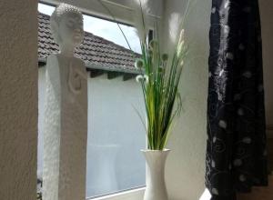 Ferienwohnung Schöne Aussicht