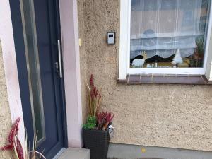 Appartement Ferienwohnung Schöne Rohrbachstraße 14a 38875 Elbingerode Saxe-Anhalt