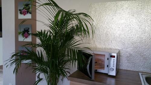 Ferienwohnung Schusi