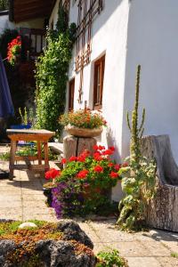 Ferienwohnung Schuster am Fellerer