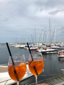Ferienwohnung Schwalbennest am Meer