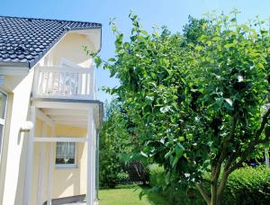 Ferienwohnung Schwalbennest