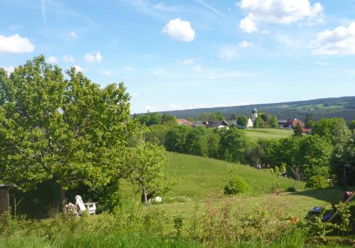 Ferienwohnung Schwarzwald-Alpenblick